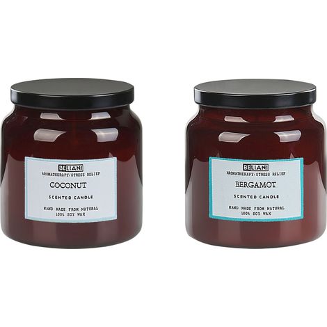 Set di 2 candele profumate 100% cera di soia Stoppino di cotone Vetro Alimentare Fragranza fresca bergamotto/cocco Lavanda Absolute Alchemy (1/5)