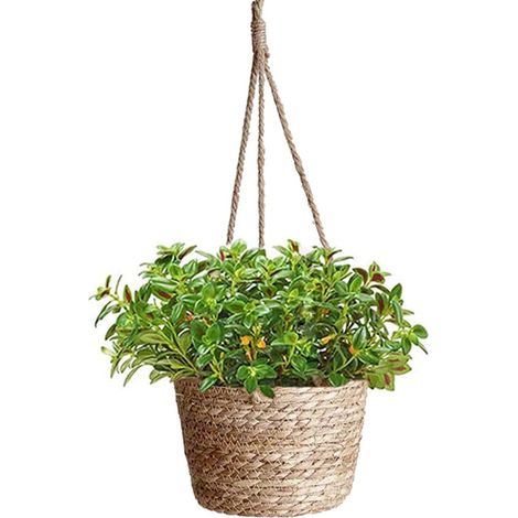 Vaso da fiori sospeso in corda di iuta, cestino intrecciato sospeso, vasi per piante, fioriera sospesa in corda, cestino sospeso per fioriera, vaso da piante da interno o da esterno