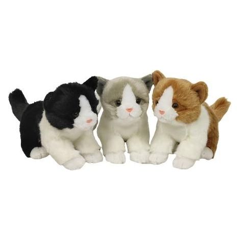 Gattini misti da 18 cm