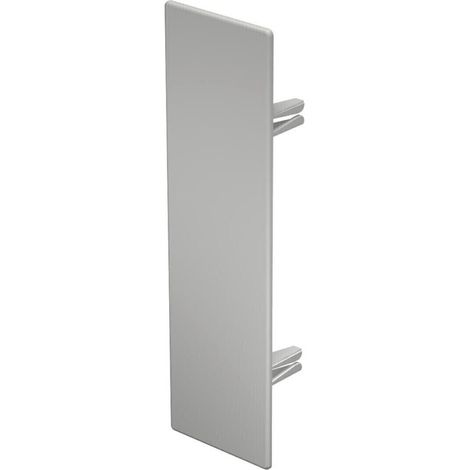 OBO Bettermann Vertr Endstück 60x210mm WDK HE60210RW (1/3)