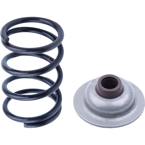 Kit de ressort et joint de soupape d'admission moteur Honda Gx25 Gx25N Hht25S pièces moteur 14751-Z0H-000 12209-Z0H-003 (1/5)