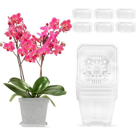 Pot Orchidée Transparent 6 Pièces Cache-Pot 10cm Pot de Fleur Interieur Pots de Fleurs avec Trous Drainage et Soucoupes pour Plante Intérieur Exterieur (1/5)