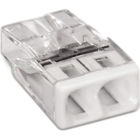 100 Mini Bornes de Connexion Automatique 2 Entrées, Serre-joint pour Raccordement Électrique Rapide (1/3)