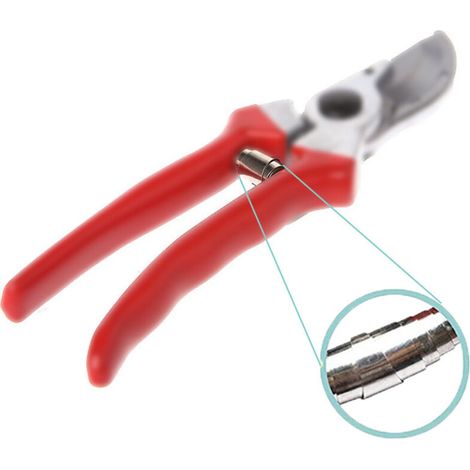 Ressort de cisaillement Inox Ressort de cisaillement Outils de jardin Accessoires Sécateurs Accessoires (argent-10pcs)
