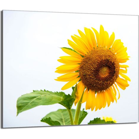 Protezione per piano cottura in vetro 60x52 Fiore (1/5)