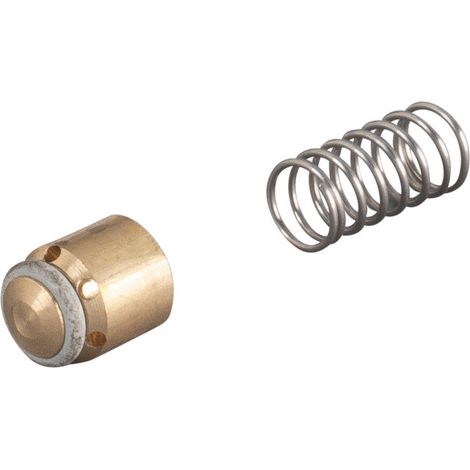 Ventil mit O-Ring und Feder 115028 R
