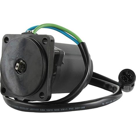 Moteur de Trim D'Inclinaison de Moto pour BF40 BF50 2004-2019 6237 36120-ZW4-H12 430-22111 430-22158 Rotation RE Haute Qualité (1/2)