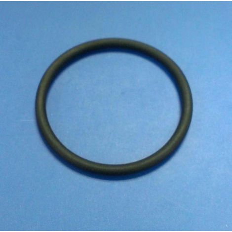 INTEX RICAMBIO GUARNIZIONE PER ELETTRODI TITANIO 28672 (54616) E 28662 (54606)/28668/28670/28662/28664/28674/28680/28676