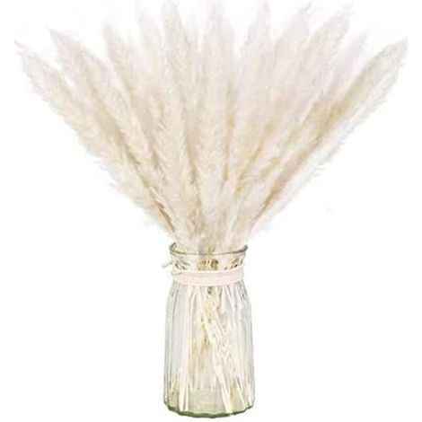 Paquet Séché Naturel D'herbe De Pampa Sèche Pour La Décoration Intérieure 20pcs Blanc (1/5)
