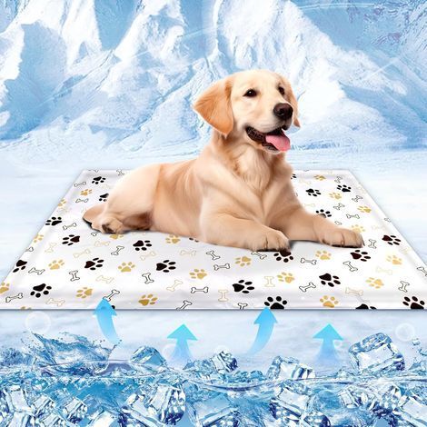 Tapis rafraîchissant pour chiens et chats - Coussin de refroidissement étanche et lavable avec motifs empreintes de pattes - 60 x 50 cm (1/5)