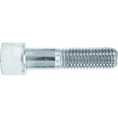 V 912 - TOR. ALLEN DIN 912. ZINCADO 04X020 ( 8 u.)