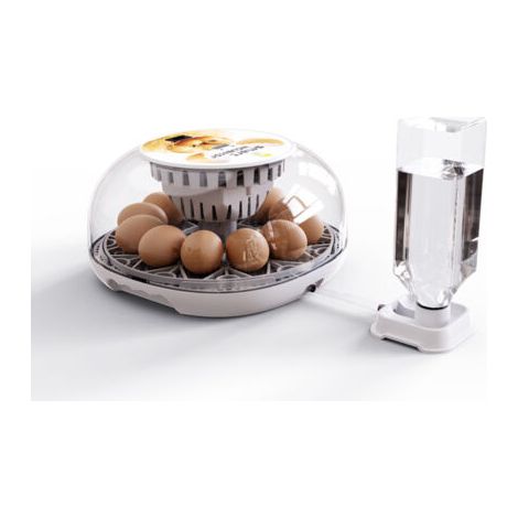 Incubateur automatique pour 12 œufs – Contrôle numérique de la température – Retourneur d'œufs toutes les 2h – Système d'alimentation en eau externe (1/5)