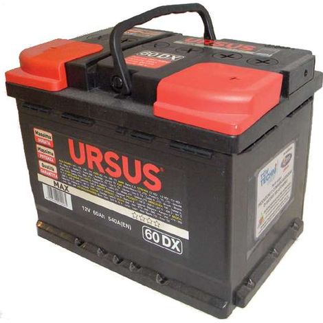 BATTERIA AVVIAMENTO AUTO URSUS 60 Ah mm. 242x175x190 h