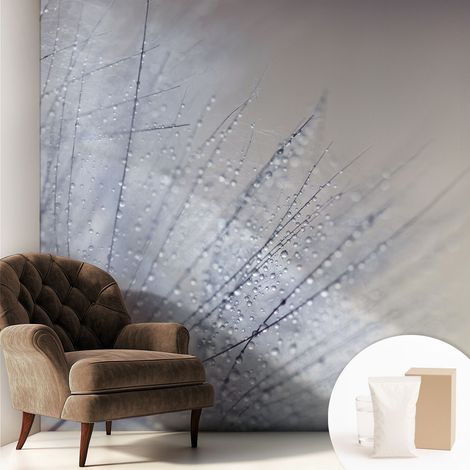Tapete Dekorative Vliestapete mit Klebe für Wand - Mustertapete - moderne Einrichtung - für Büro Bespritzter Löwenzahn 250x250 cm
