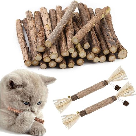 Bâtonnets à Mâcher Matatabi, Jouets molaires de Chat en Bois Naturel, Herbe à Chat pour grincer des Dents(30+2) Pièces (1/5)