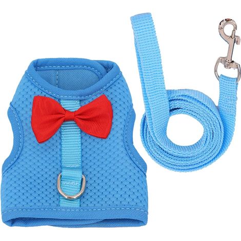 1 Harnais, Maille Respirante, Gilet Anti-Fugue, Laisse Réglable, Pour Lapin Cochon D'Inde