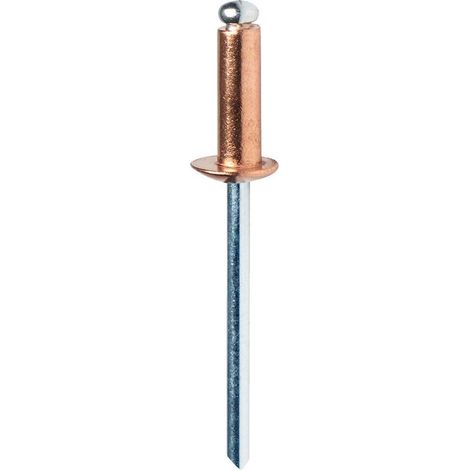 Blister mit 50 Nieten Ø4x10mm Alu+Kupfer-Bohrer 5001462 Rapid