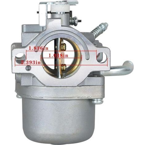Carburateur de Remplacement pour Briggs Stratton 593432 794653 590399 796077 Tondeuses À Gazon Moteur (1/3)