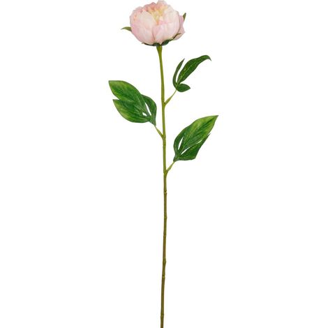 Mica Decorations Kunstpflanze Peonie hellrosa 60 cm Pflanze