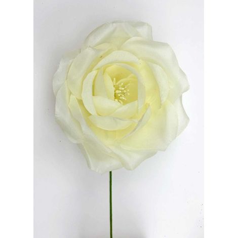 Linea Due Elle Rosa Grande Soft 10 Cm Avorio 6 Pz