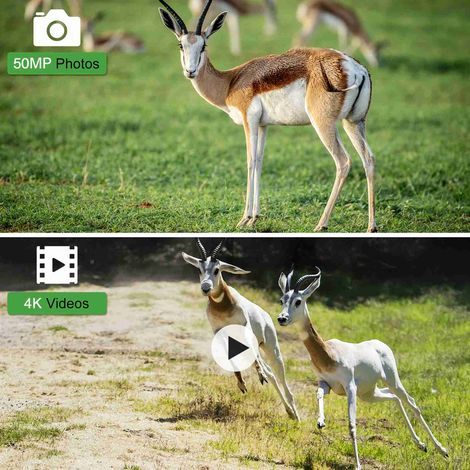 Caméra de suivi des sentiers à double objectif 50MP 4K HD IR, Vision nocturne IP65, avec écran couleur TFT 2,4 pouces, pour l'observation de la faune (1/5)
