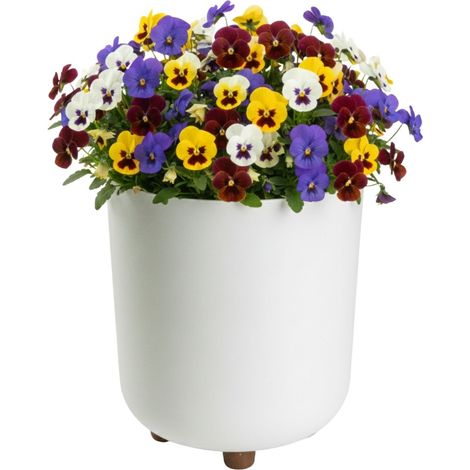 TERRA Blumentopf auf recycelten Beinen, cremefarben, H 27,4 x 24,2 cm