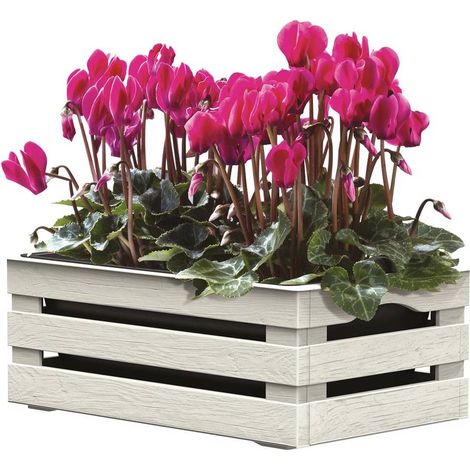 CASSETTA PORTAFIORI 'TINA FLOWER' cm 25 x 15,5 x h.10,5