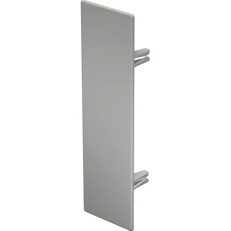 OBO Bettermann Terminale 60x210mm Polivinilcloruro bianco puro RAL 9010, 6193358