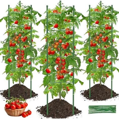 Tuteur Tomate, 3pcs Cage à Tomates Support 130cm Treillis Plante Grimpante Exterieur Obélisque pour Jardin, Piquets de Plantes Frimpantes, Légumes et Fleurs - (1/5)