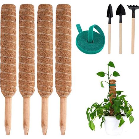 SABIR 4 Pièces 40cm Tuteur Coco pour Plante Plante Poteau Bâton De Coco, pour la Maison Jardin Plante Grimpantes Extensible Plantation Support (1/5)
