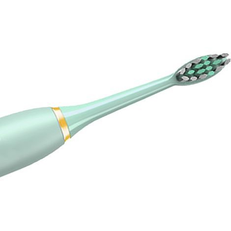 Brosse à dents électrique étanche IPX7, rechargeable USB, 5 têtes pour famille (1/5)