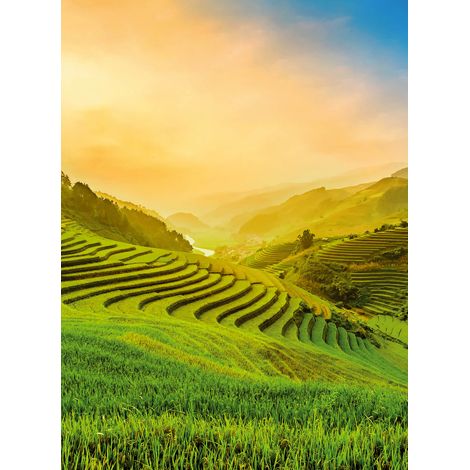 Papier peint panoramique paysage rizières | Tapisserie panoramique nature verte & orange | Papier peint panoramique pour escalier & salon - 192 X 260 cm (4 pièces) (1/2)