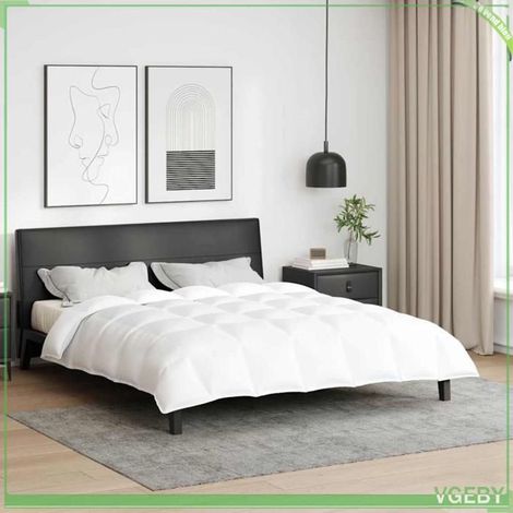 42007660 Duvet d'hiver Blanc 240 x 220 cm Plume (1/5)