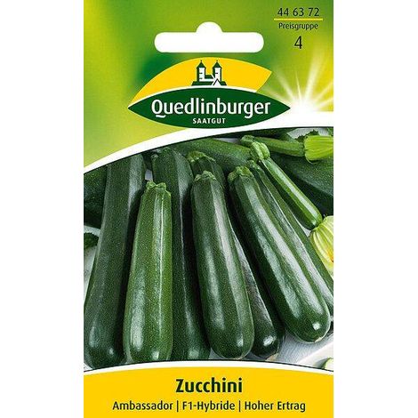 Quedlinburger Zucchini Ambassador - Gemüsesamen (1/2)