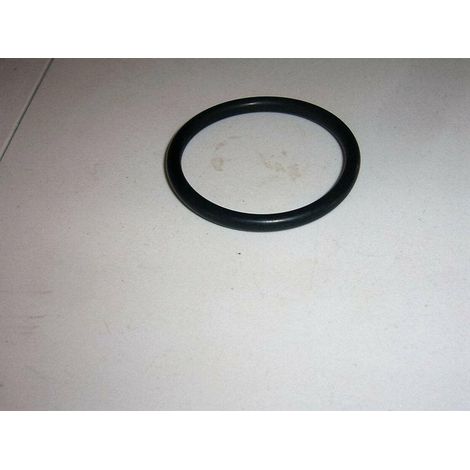 ORING OVALIZZATO POMPA IRRORATRICE IRRORAZIONE ANNOVI REVERBERI 37,8X4 320511 (1/2)