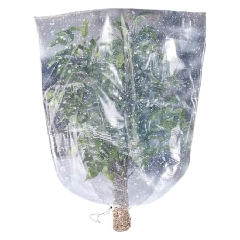 Housse de protection antigel pour plantes Sac en film transparent pour jardin Protection antigel pour plantes Pour jardin, serre, potager, jardinière, fleurs (1/5)