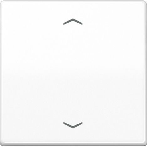 Jung Wippe Symbole aws für Taster AS 591 P WW (1/2)