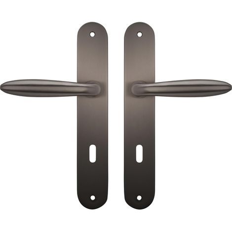 1 Paire - Poignée Sur Plaque - Zamak - Couleur Titane Avec Ressort De Rappel Pour Porte Intérieure 37-45mm Symétrique 225x38cm (1/3)