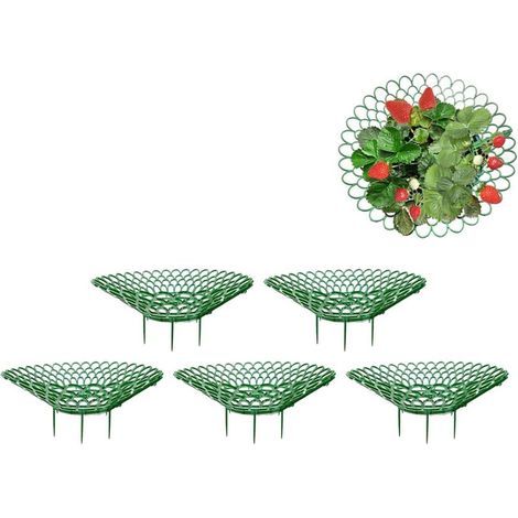 Strawberry Plant Support, Adjustable Strawberry Frame, Fresh Frame Support, Versatile and Reusable Growing Supports to Keep Garden Clean, Protection Against Rot and Mold (1/5)