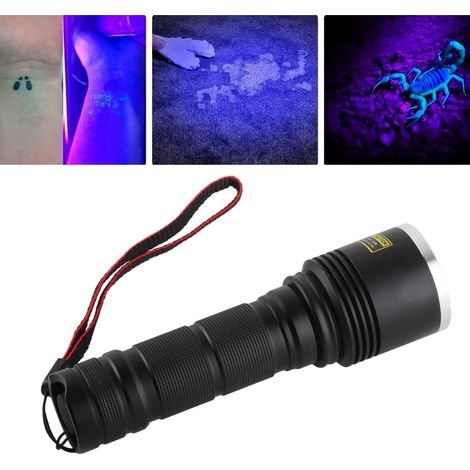 Lampe torche UV 365 nm, détecteur d'urine d'animaux domestiques à lumière noire, scorpion à coloration sèche durcie à la résine
