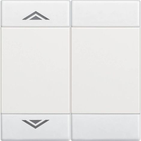 Manette Livinglight MyHOME BUS symbole montée/descente 2 modules blanc BTICINO N4911M2AHN (1/2)