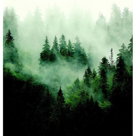 Papier peint foret Arbre et brouillard 225 x 270 cm (1/3)
