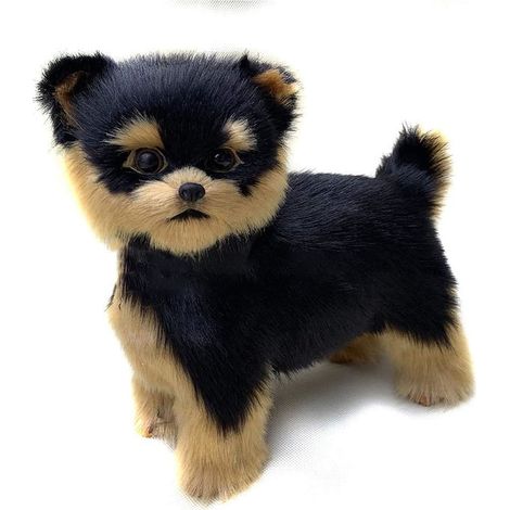 Chien jouet, Yorkshire réaliste, QttvbTna, peluche, noir/marron (1/5)