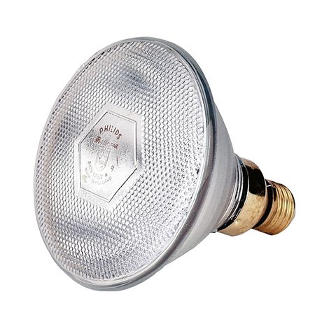 Bulbo rinforzato Kerbl Philips 175 W, Blanca