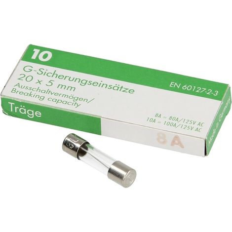 Fusible à action retardée 8A 250V