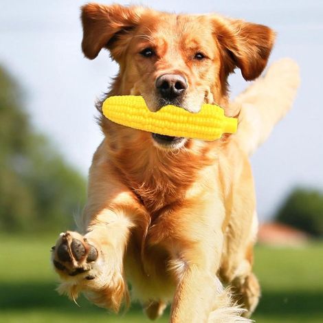 Corn Shaped Dog Chew Toy Relieves Stress and Stops Destructive Behaviors for Pets