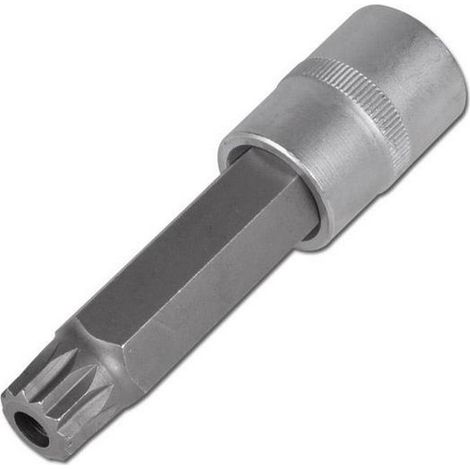 Punte per spline, XZN, MULTIDENTATE DA 1/2 A DETTAGLIO - bitscarr12 : XZN 16 Lungo 100 Forato