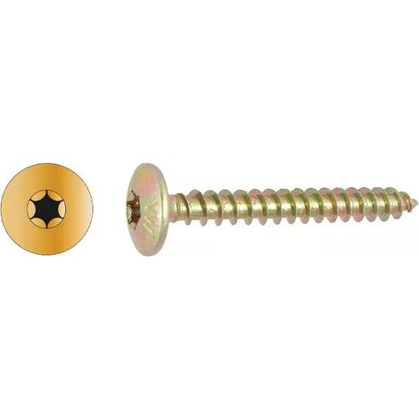 Empreinte Torx T30 en acier bichromaté - VISWOOD