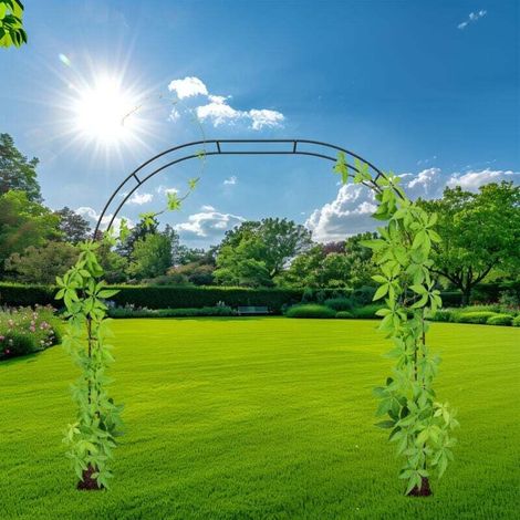 Arche à rosiers, métal, treillis, jardin, H : 250 cm, 2 largeurs : 235 ou 180 cm, plantes grimpantes, noir (1/5)