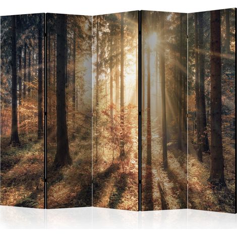 Paravento - Autumnal Forest II [Room Dividers] - 225x172 (1/4)